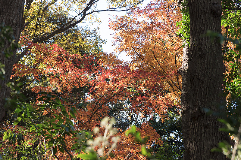 image0338