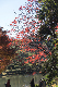 image0178