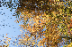 image0186