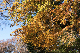 image0187
