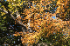 image0190
