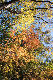 image0191