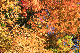 image0192