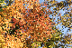 image0193