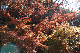 image0194