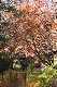 image0196