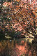 image0197