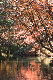 image0198