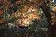 image0204