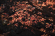 image0210