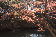 image0223