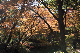image0225