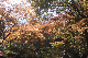 image0226