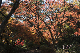 image0232