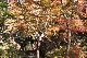 image0235