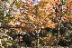 image0238