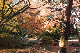 image0241