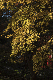 image0242
