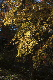 image0243