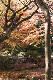 image0244