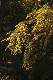 image0245