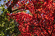 image0256
