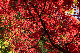 image0258
