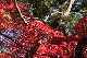 image0264