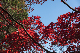 image0268