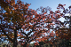 image0272