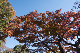 image0273