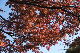 image0274