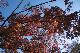 image0276