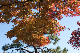 image0277