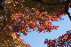 image0278