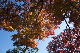 image0279