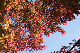 image0280