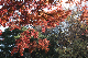 image0281