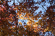 image0282