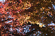 image0283