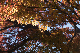 image0284