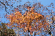 image0285