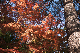 image0287