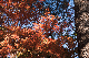 image0289