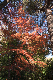 image0290