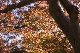 image0291