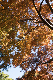 image0292