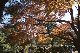 image0293