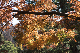 image0294
