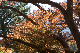 image0295